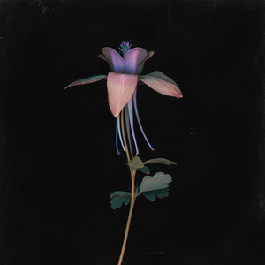 欧美牝户小一起操
