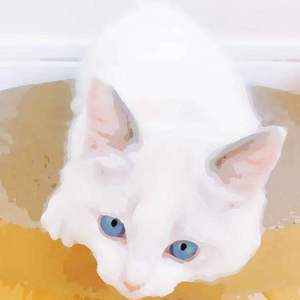 欧美牝户小一起操
